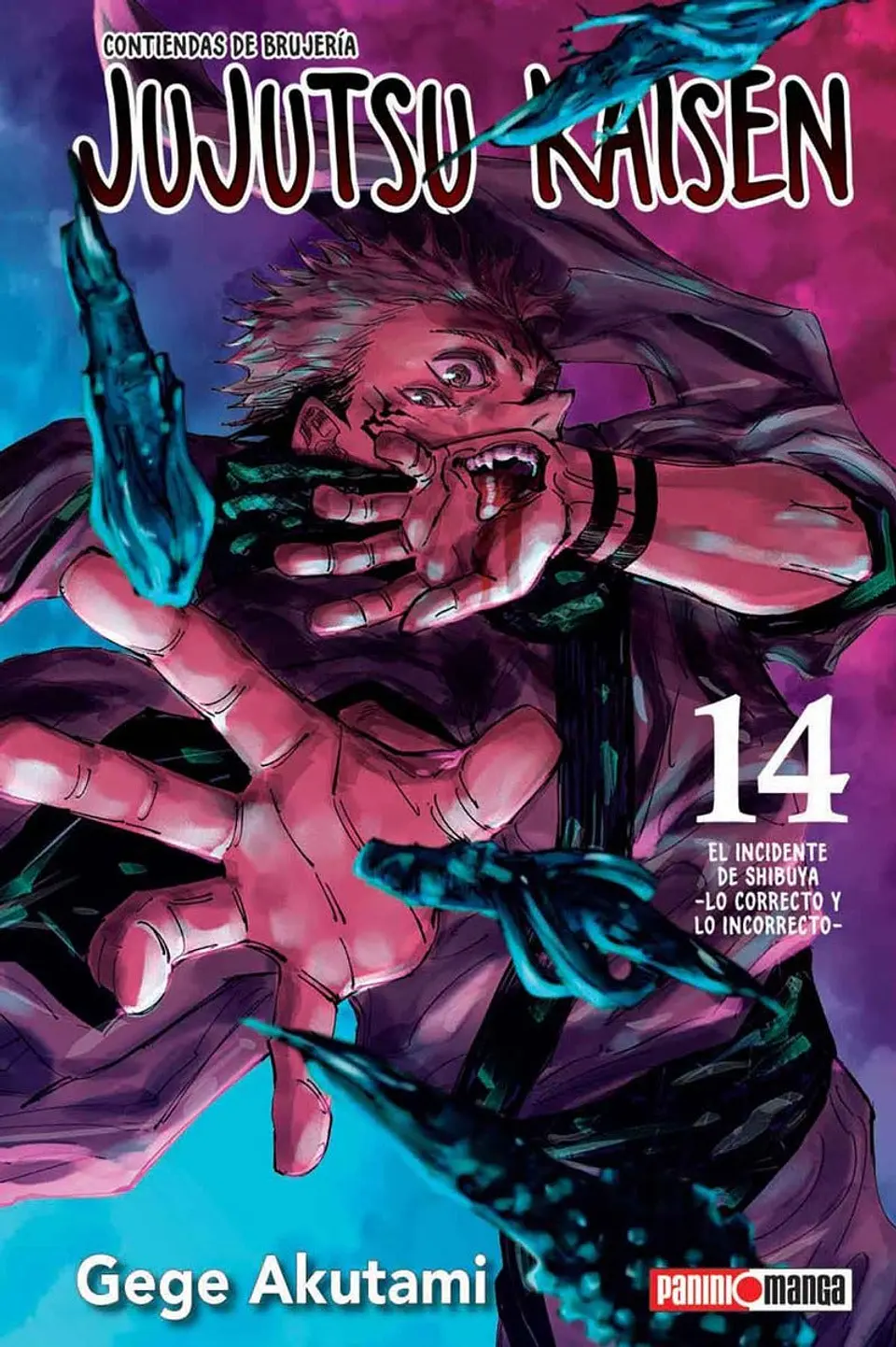JUJUTSU KAISEN 14 1