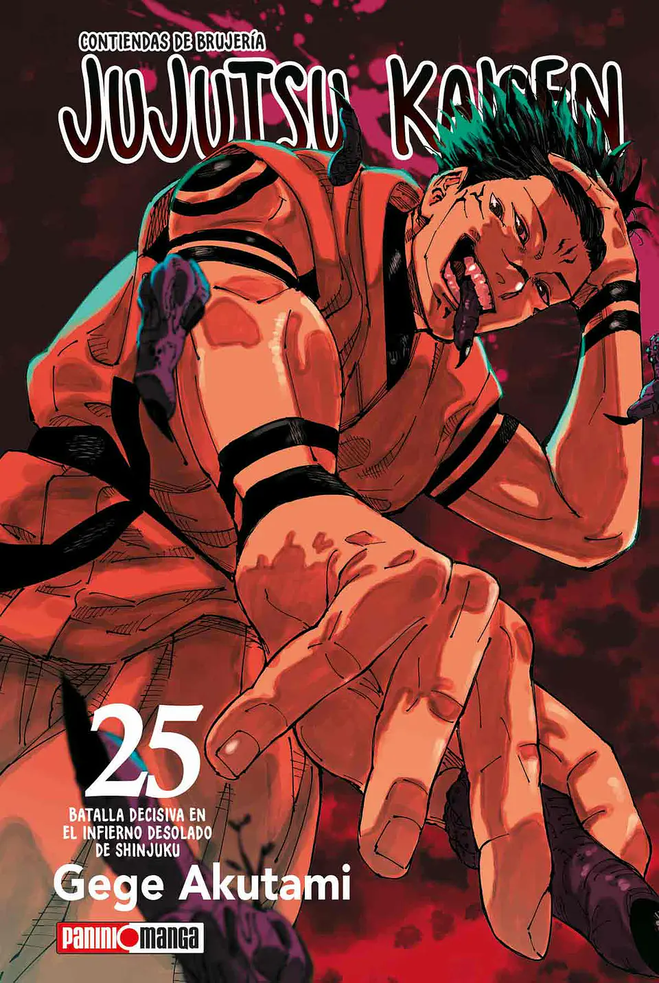 JUJUTSU KAISEN 25 1