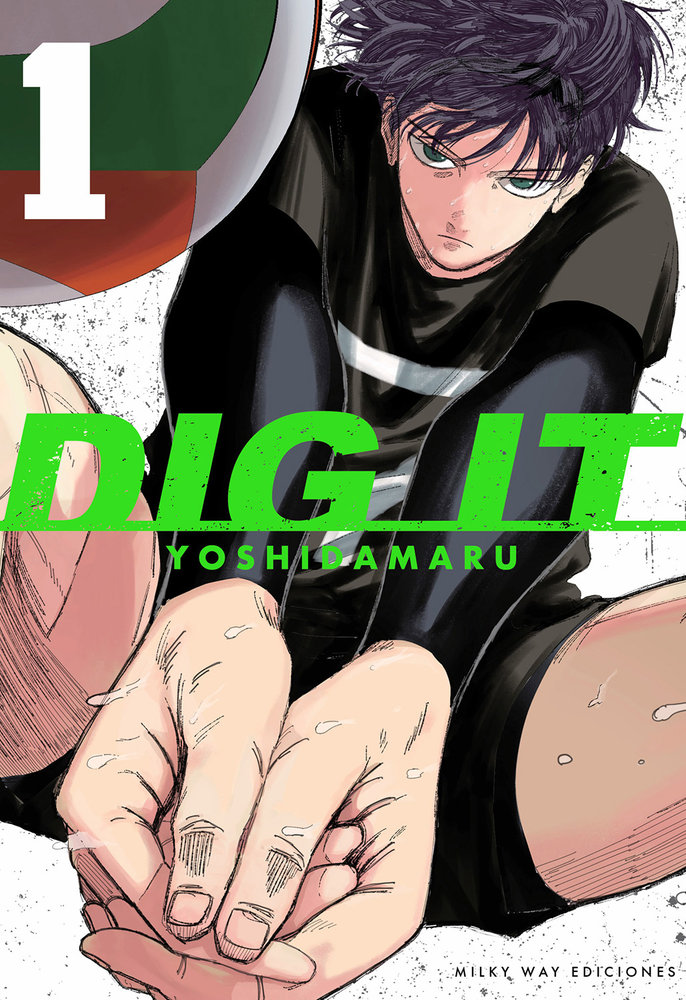 DIG IT 01 1
