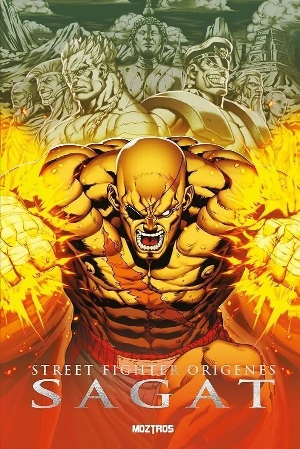 STREET FIGHTER ORIGENES: SAGAT 1