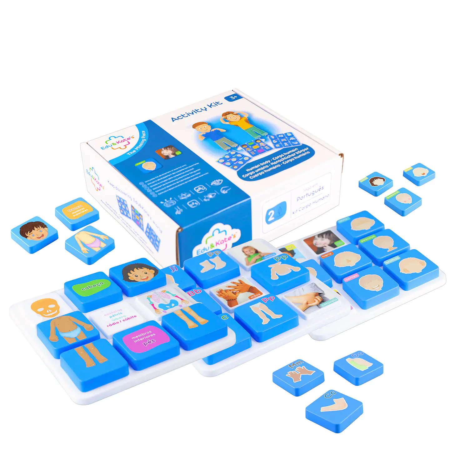 Jogos Educativos de Correspondência - Nível 2 | Clima, Corpo Humano, Emoções e Vestimentas. 12