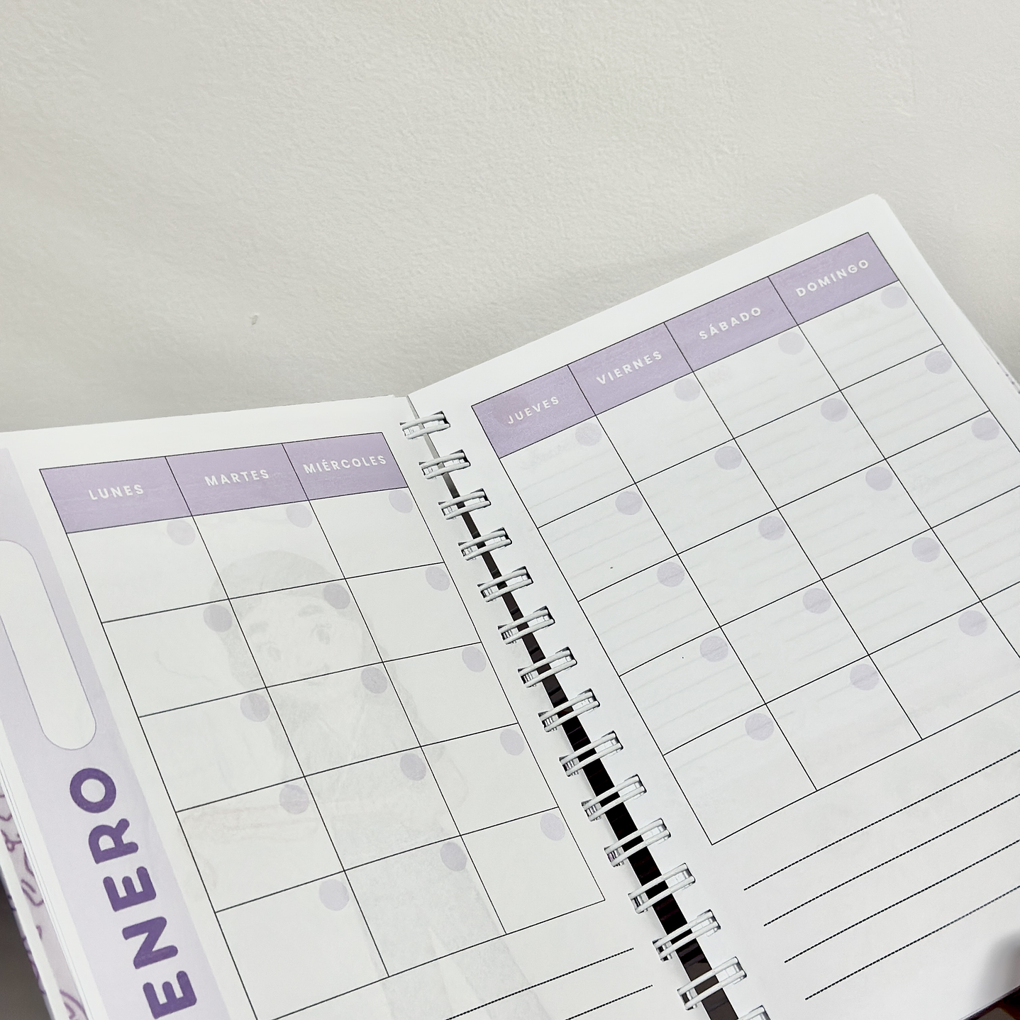 Agenda Nutricionista 3