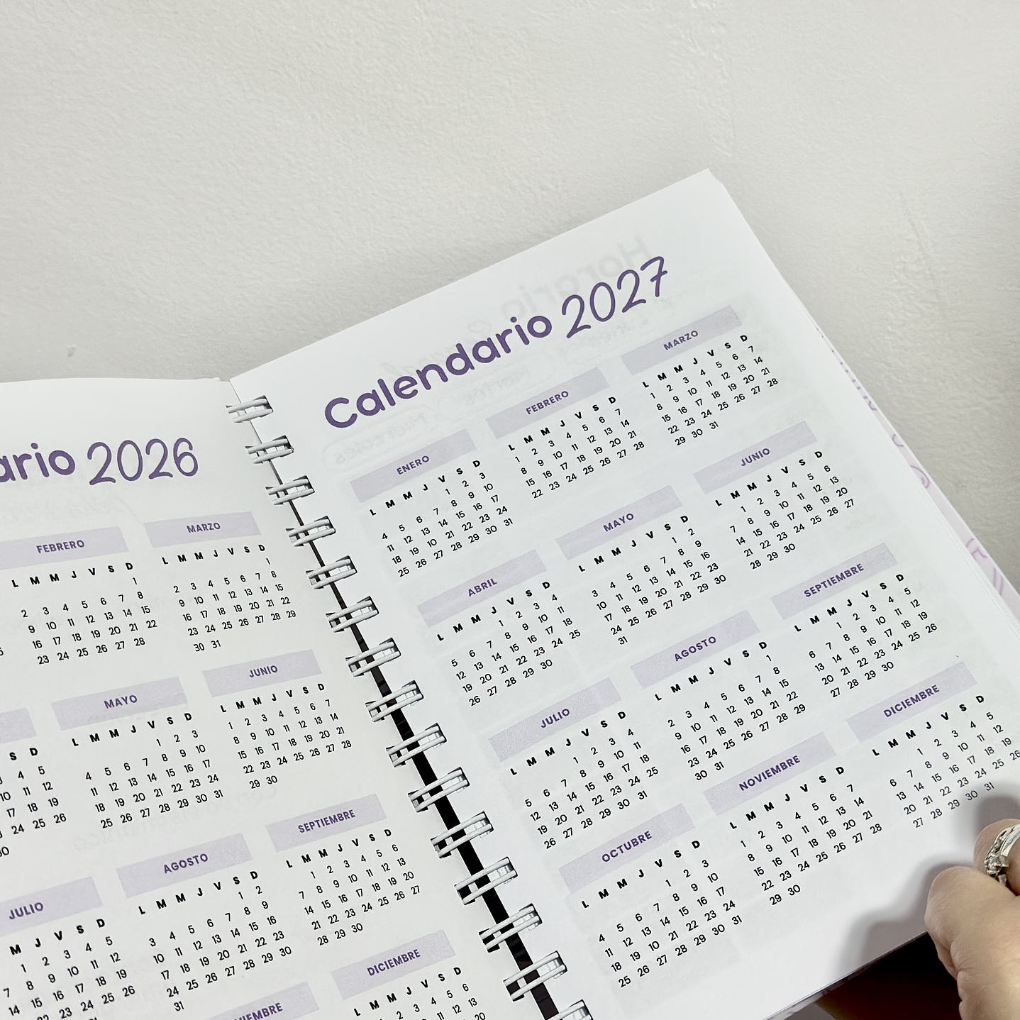 Agenda Nutricionista 7