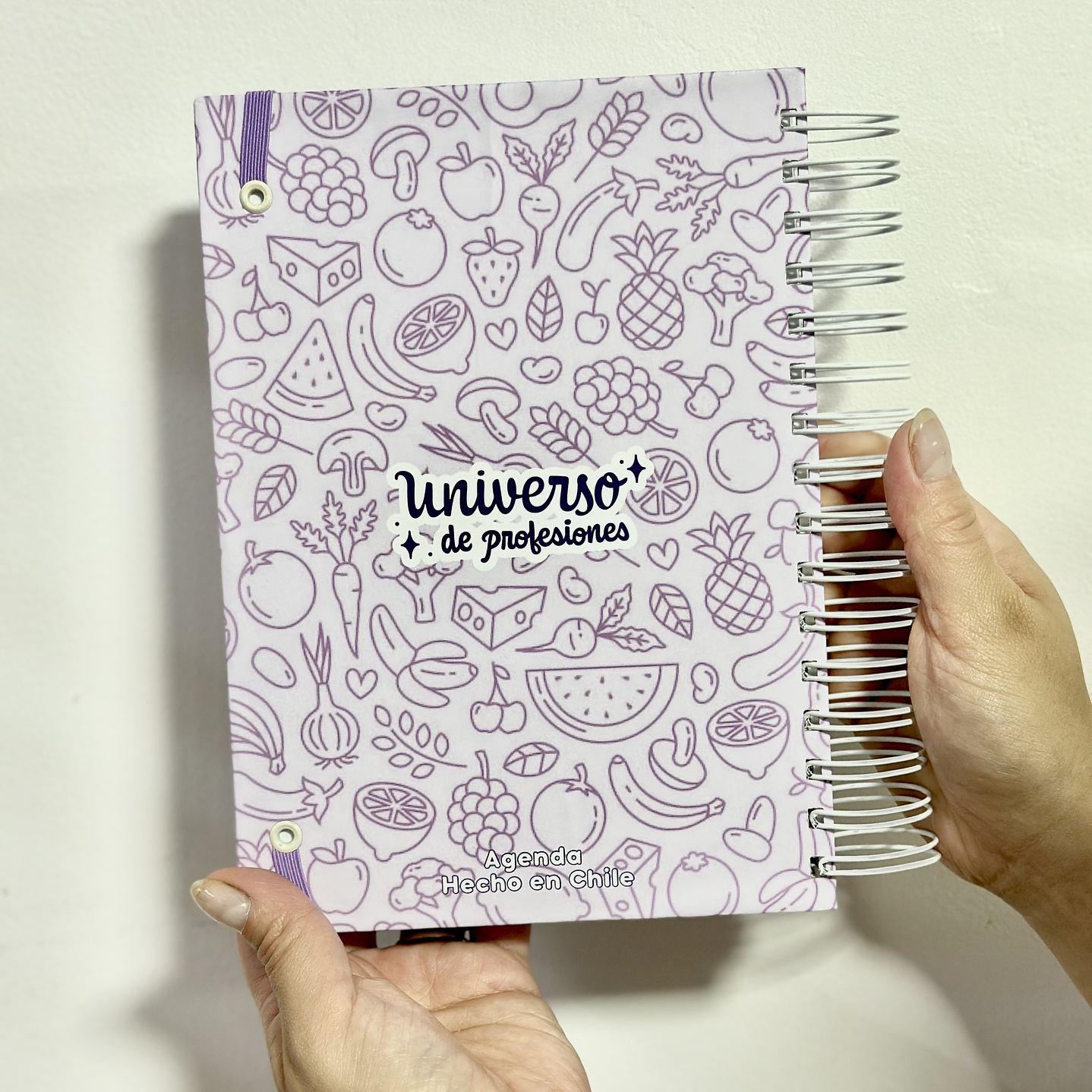 Agenda Nutricionista 9