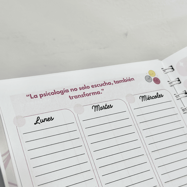 Agenda Psicóloga 11