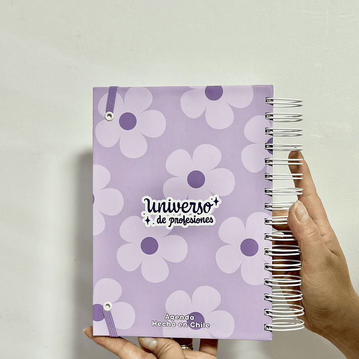 Agenda Fonoaudióloga 2