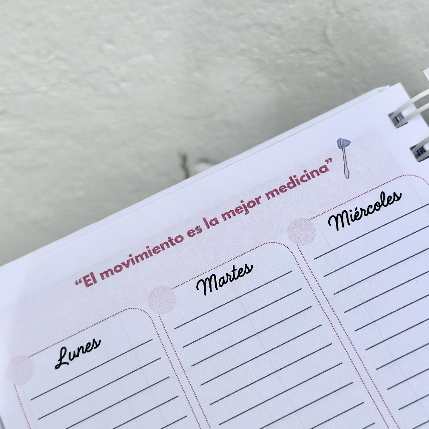 Agenda Kinesióloga 11