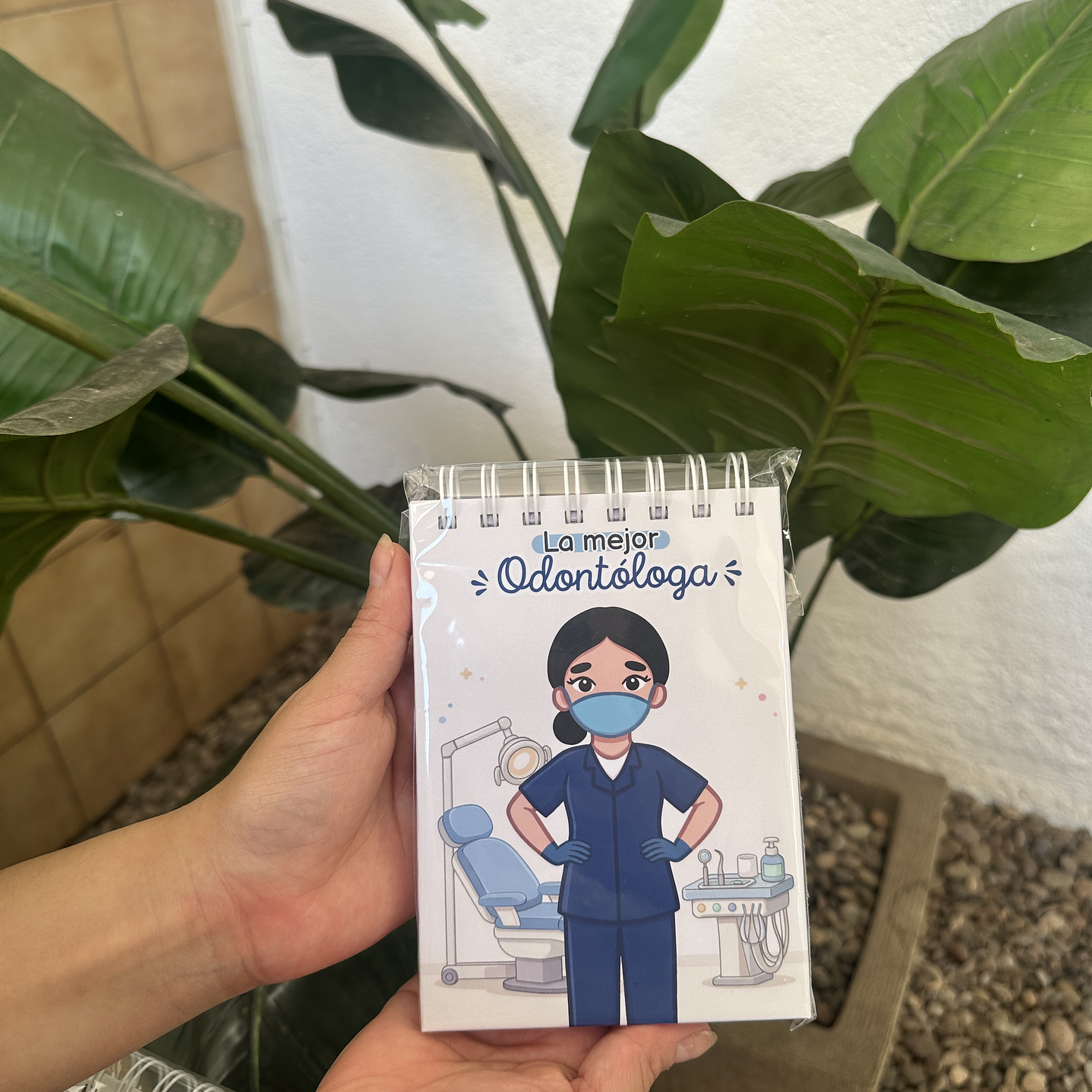 Pocket La Mejor Odontóloga 2