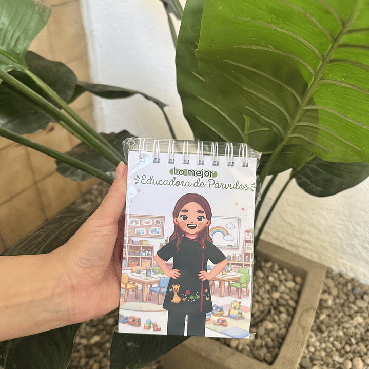 Pocket La Mejor Educadora de Párvulos 2
