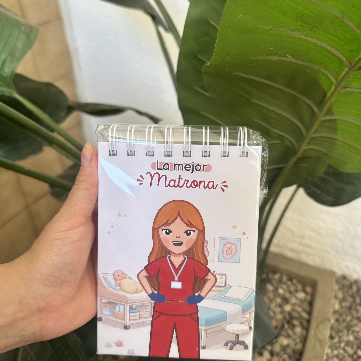 Pocket La Mejor Matrona 2