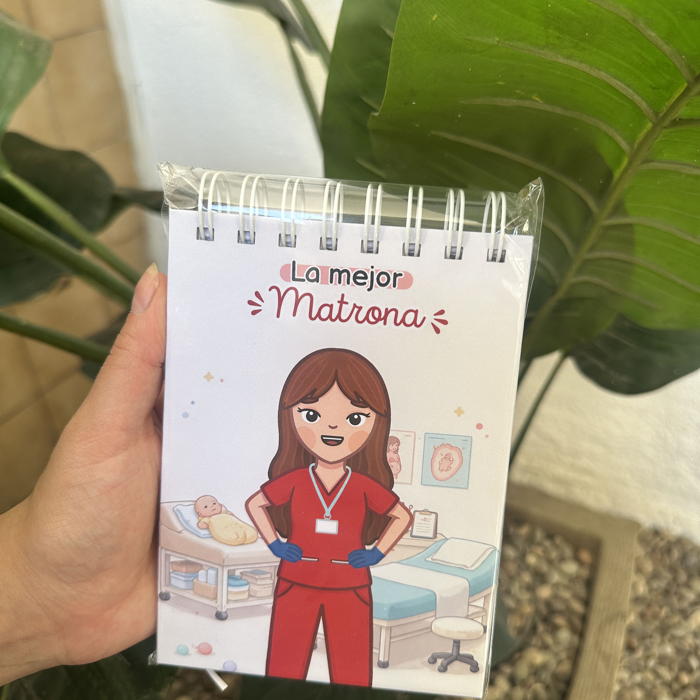 Pocket La Mejor Matrona 3