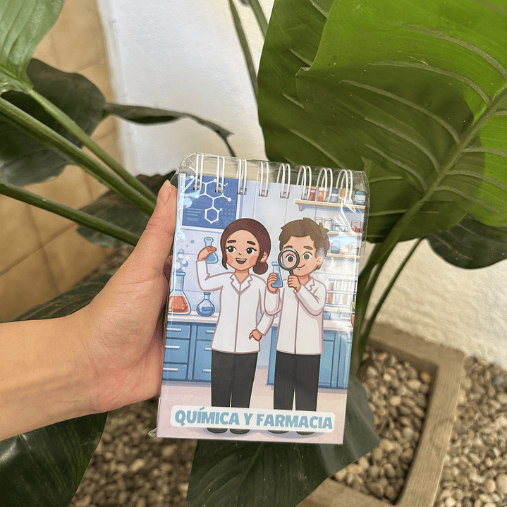 Pocket Duo Química y Farmacia