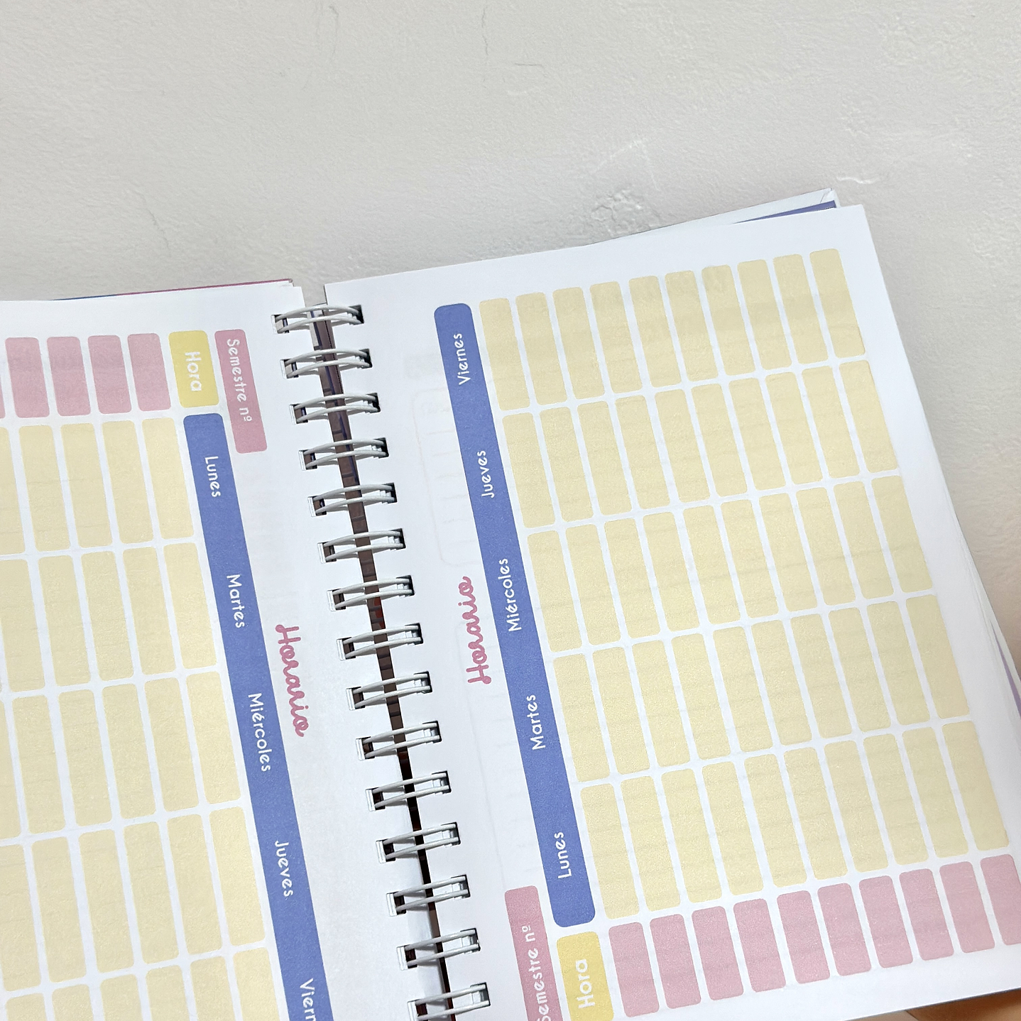 Agenda Psicopedagóga 5