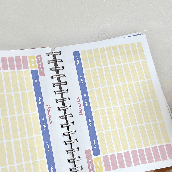 Agenda Psicopedagóga 5