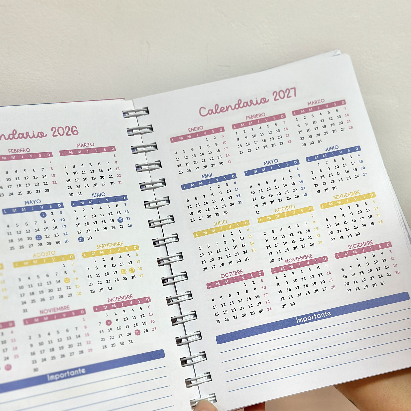 Agenda Psicopedagóga 9