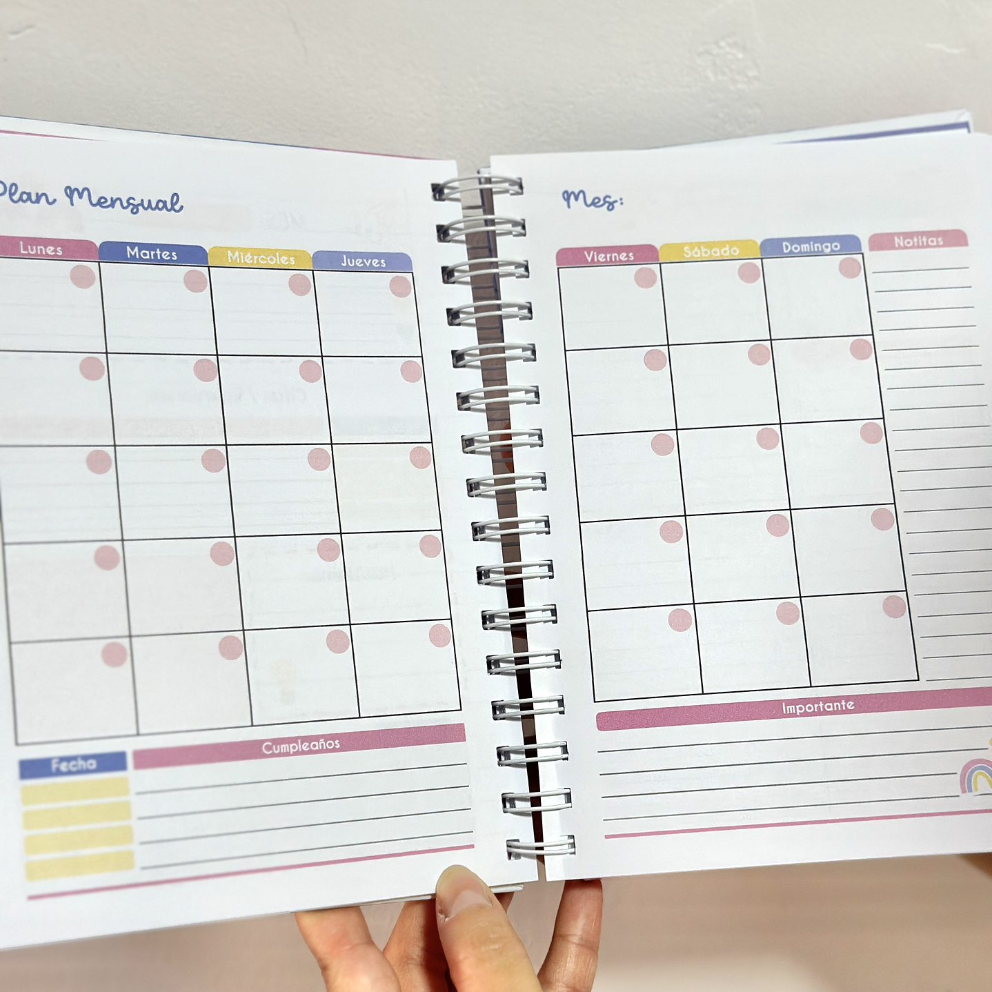 Agenda Psicopedagóga 10