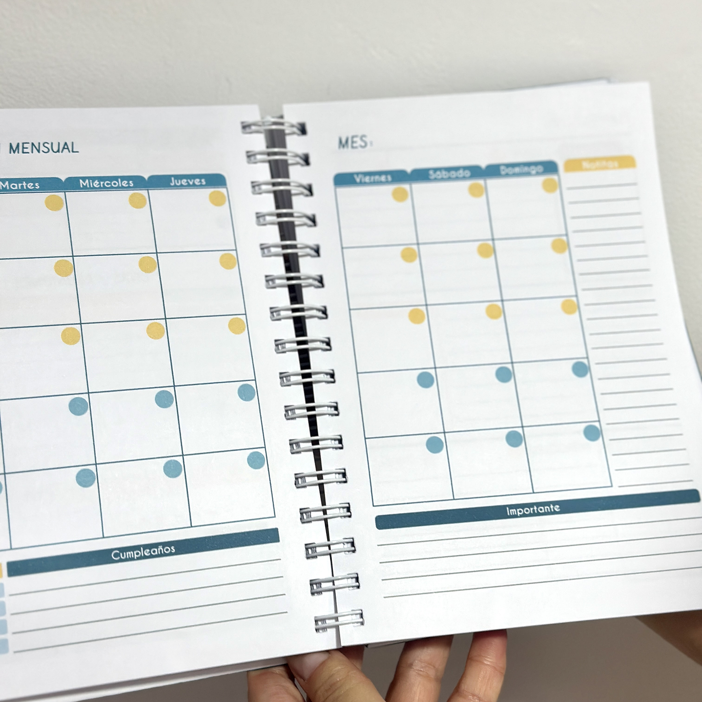 Agenda Docente Hombre 11