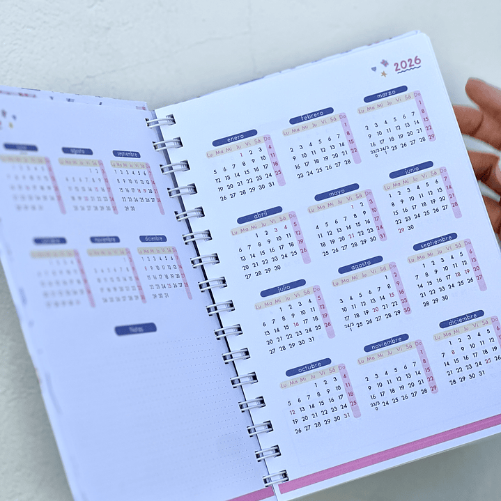 Agenda Educadora de Parvulos 2