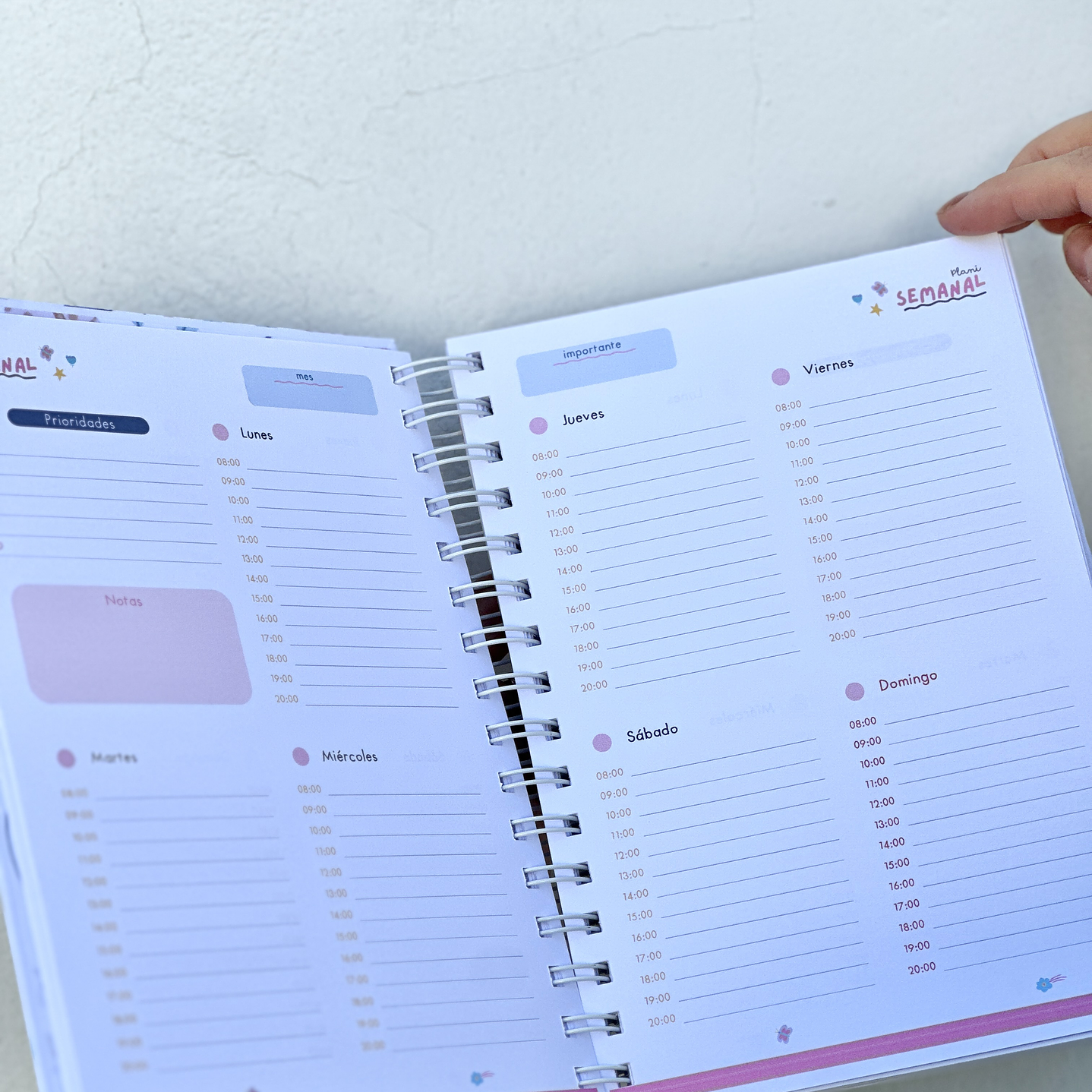 Agenda Educadora de Parvulos 6