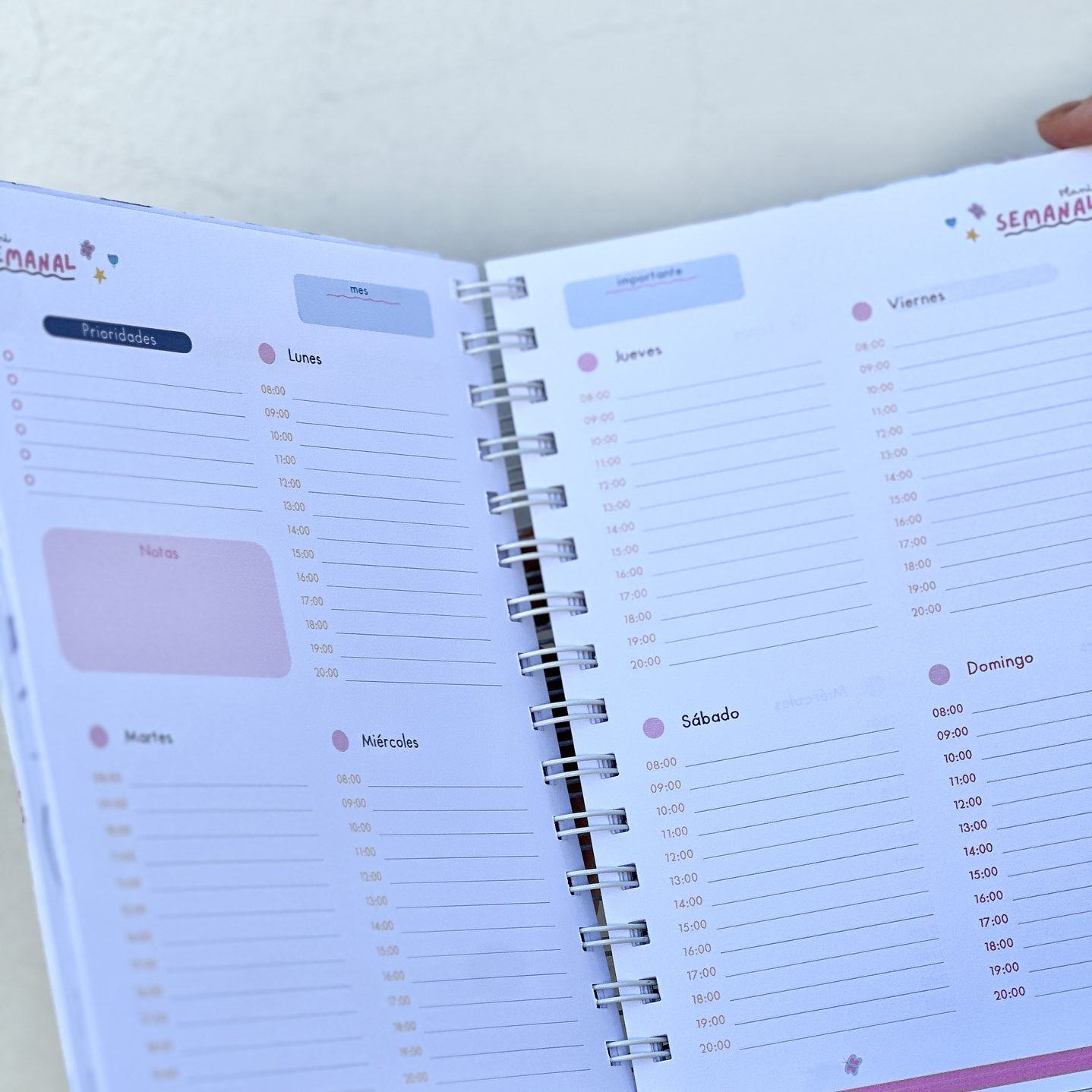 Agenda Educadora de Parvulos 10