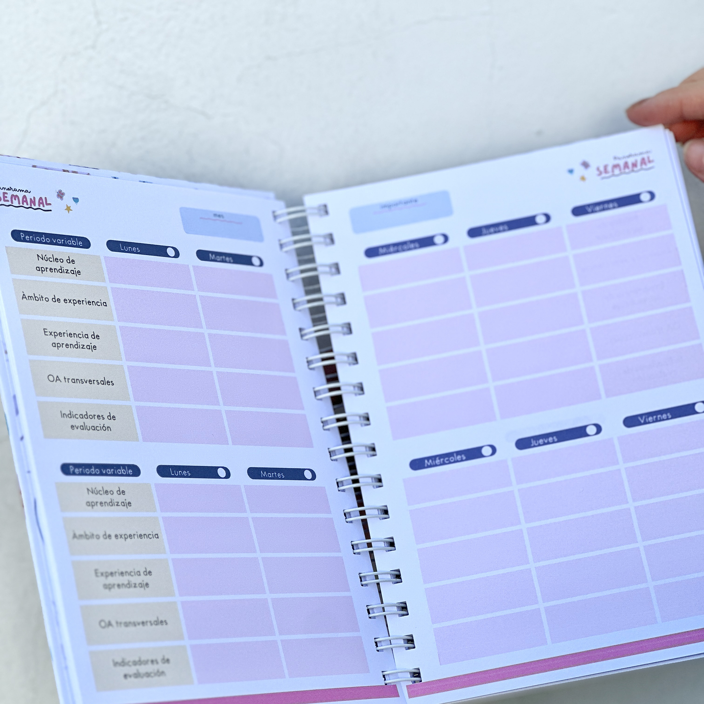 Agenda Educadora de Parvulos 11