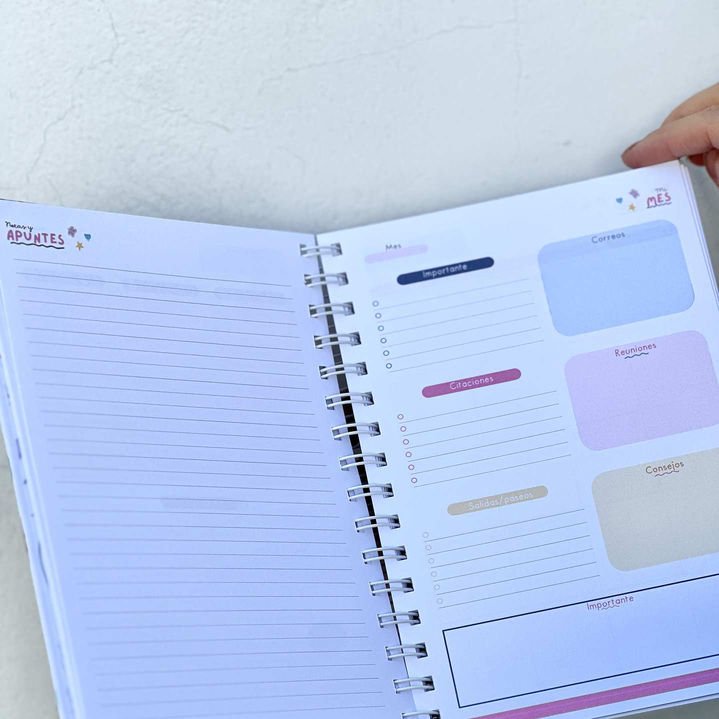 Agenda Educadora de Parvulos 12