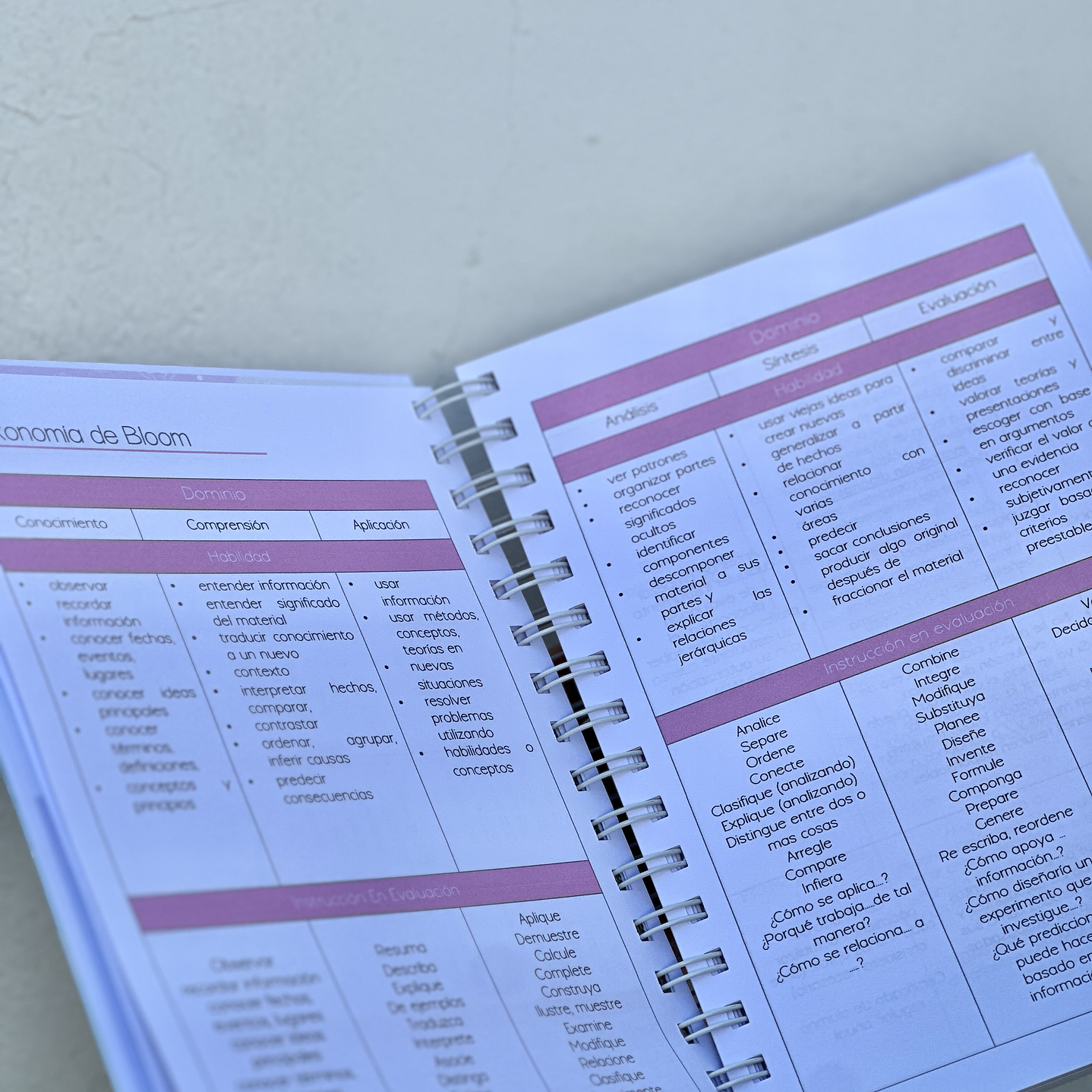 Agenda Educadora Diferencial 2