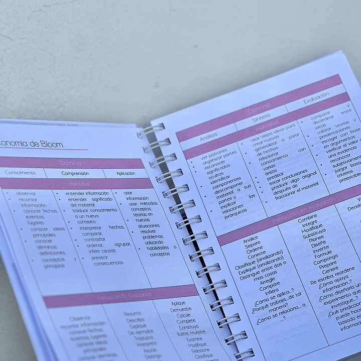 Agenda Educadora Diferencial 2