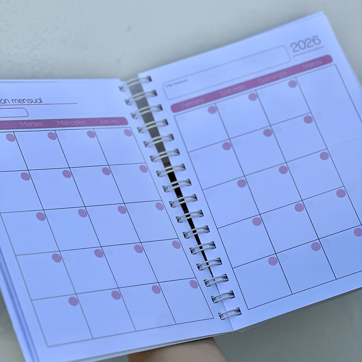 Agenda Educadora Diferencial 3