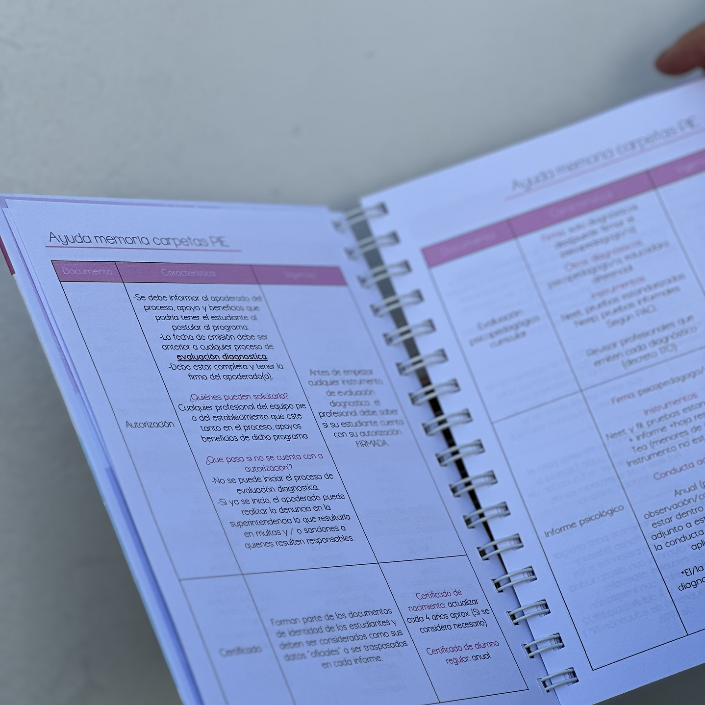 Agenda Educadora Diferencial 4