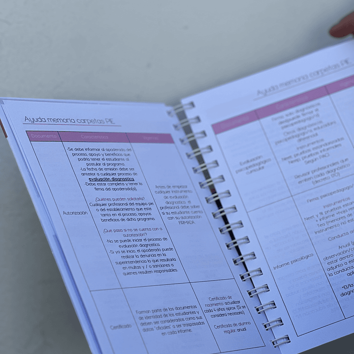 Agenda Educadora Diferencial 4