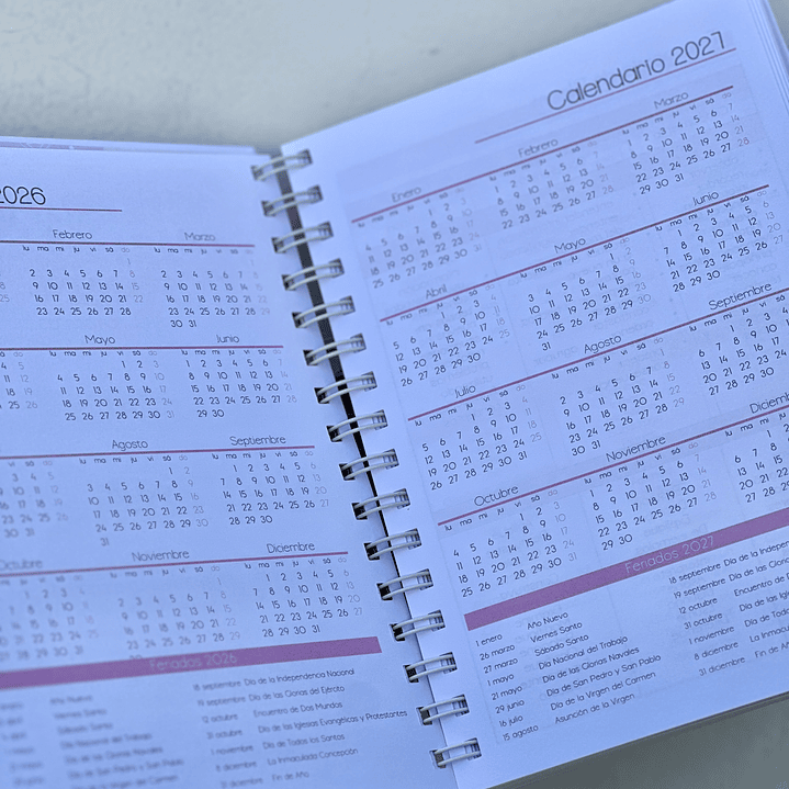 Agenda Educadora Diferencial 5