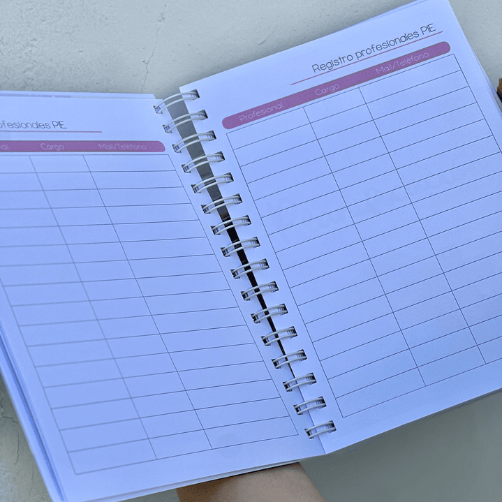 Agenda Educadora Diferencial 6