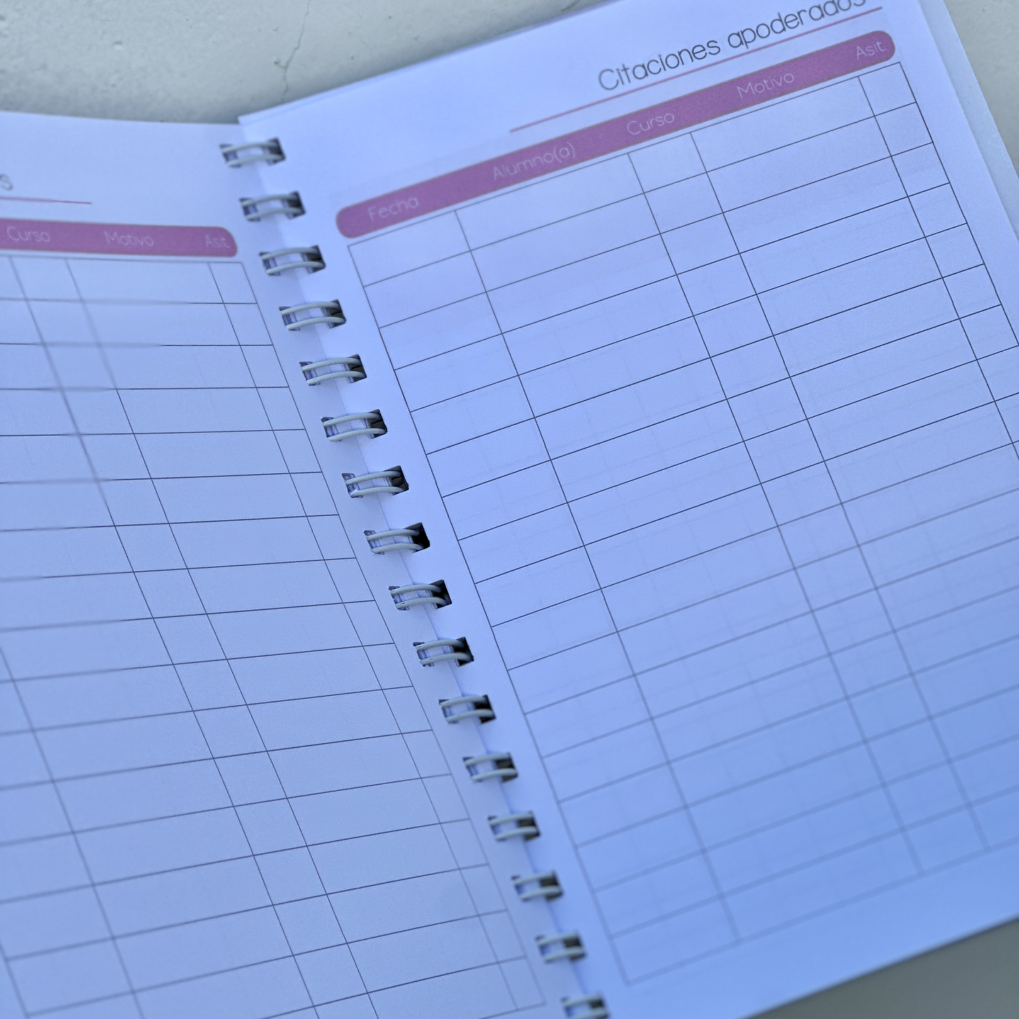 Agenda Educadora Diferencial 7