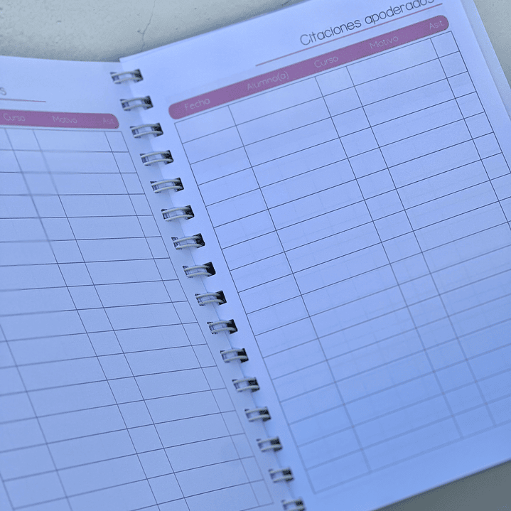 Agenda Educadora Diferencial 7