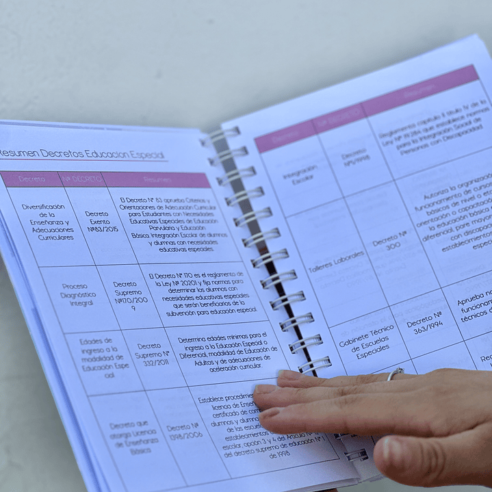 Agenda Educadora Diferencial 8