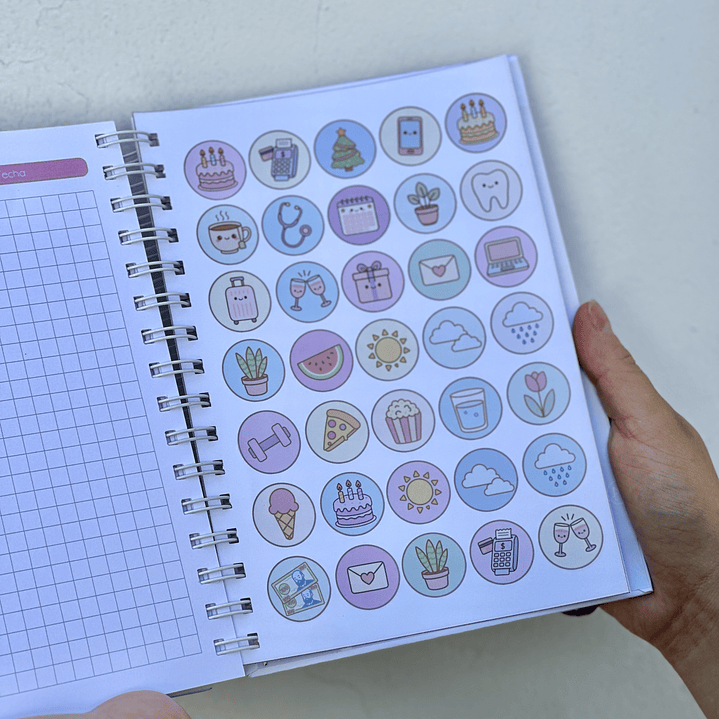 Agenda Educadora Diferencial 9