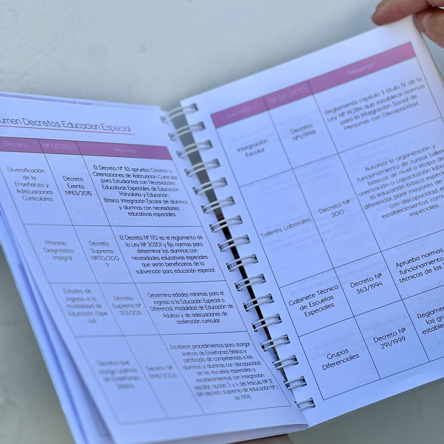 Agenda Educadora Diferencial 11
