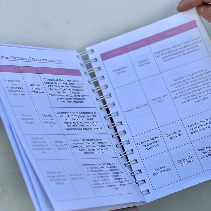 Agenda Educadora Diferencial 11