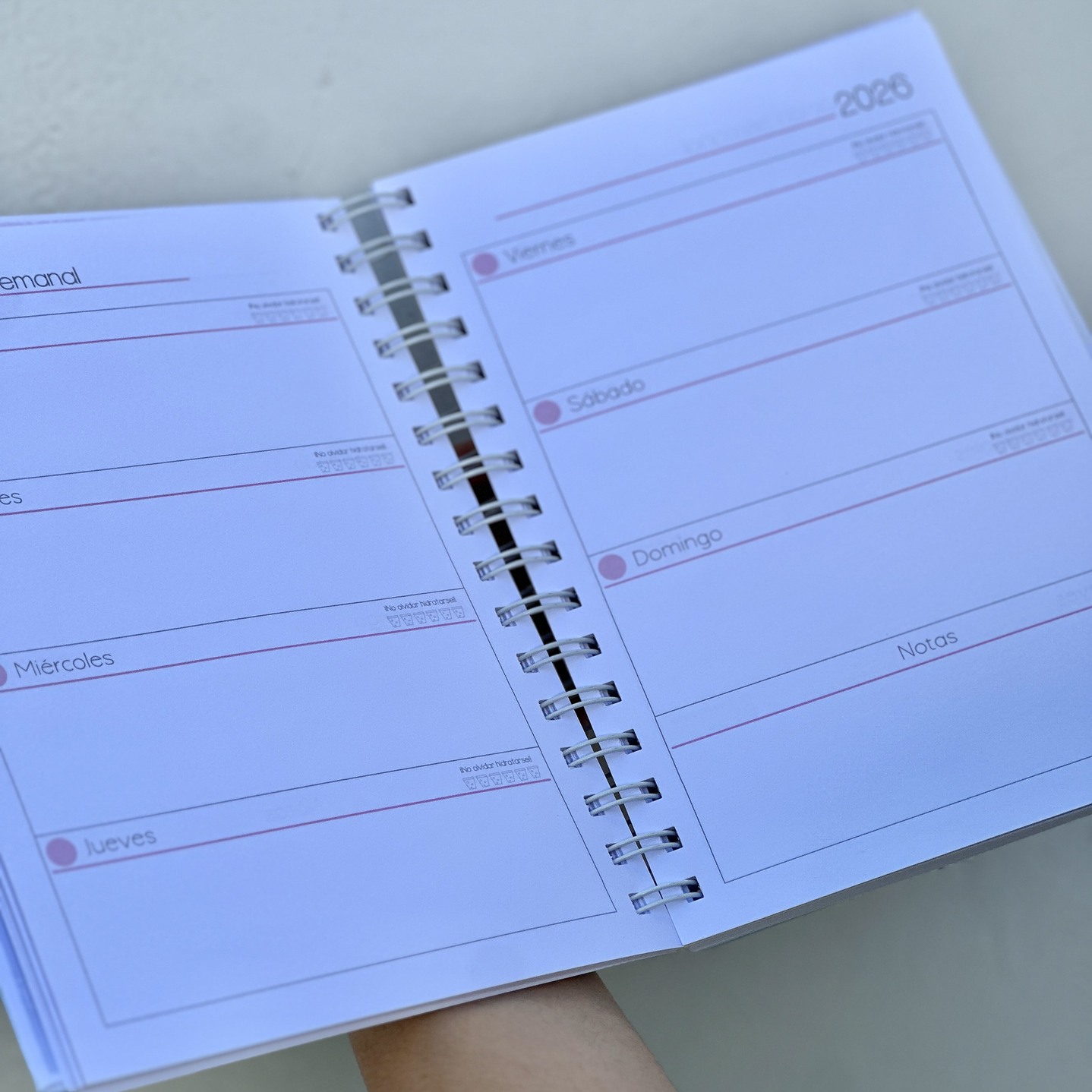 Agenda Educadora Diferencial 14