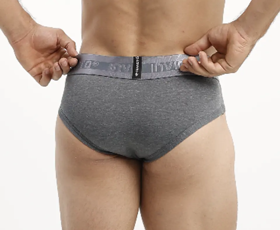 Brief Invicto Gris Deportivo 4