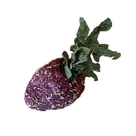 Frutillas La Granjita de conejino