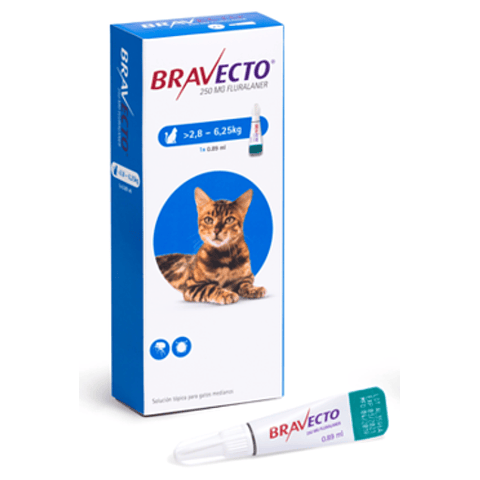 Bravecto Antipulgas para Gatos entre 2,8 - 6,25 Kg