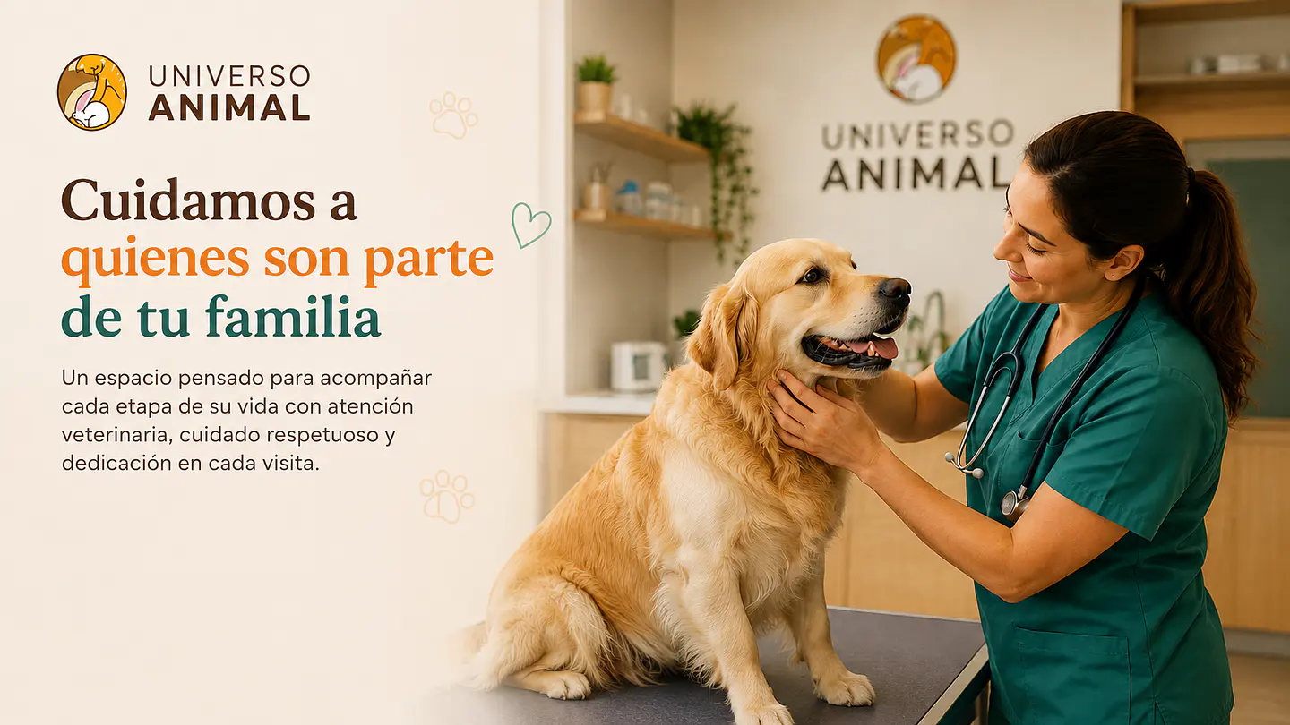 Universo Animal 