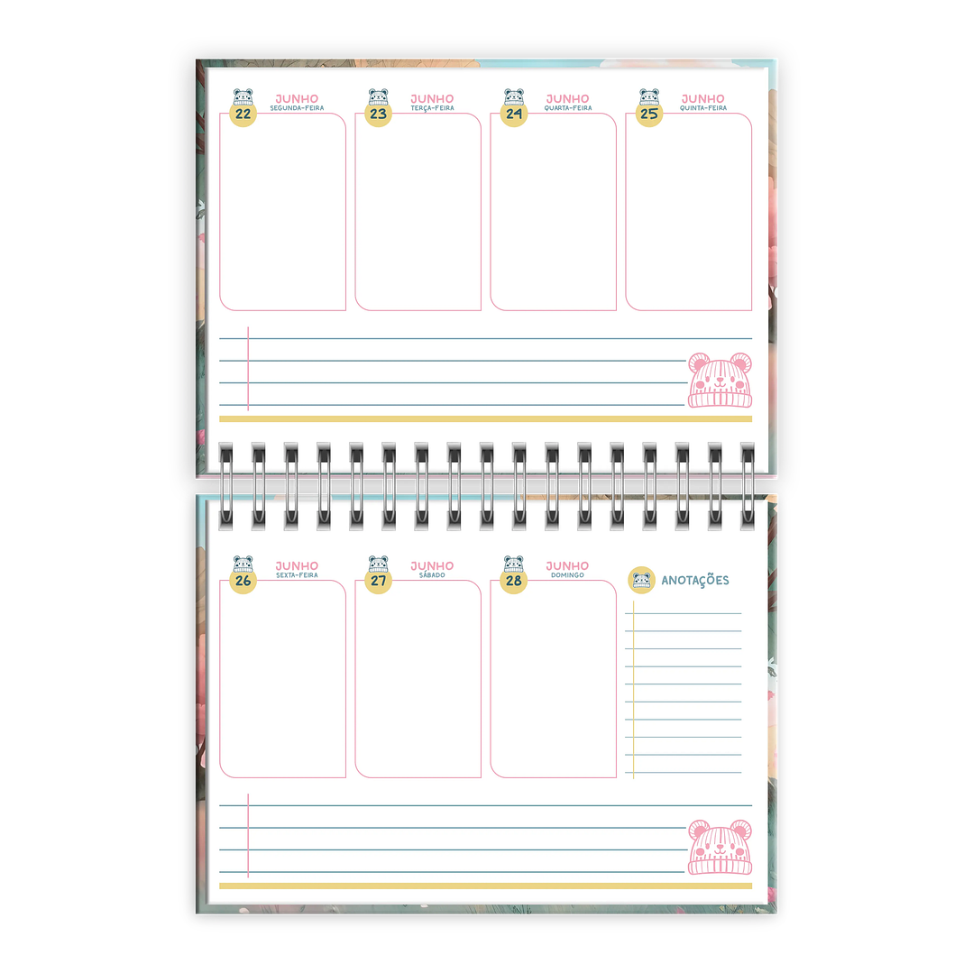 Arquivo Digital Mini coleção Extraordinário 6