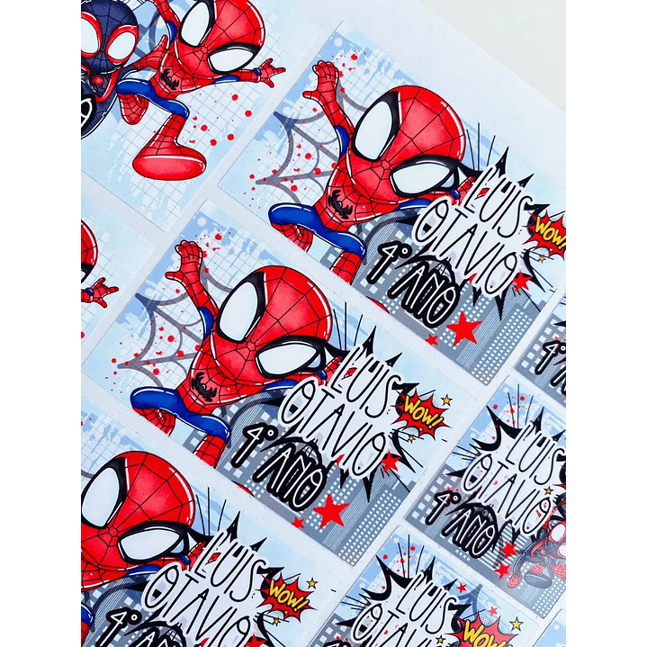 Arquivo de Corte Etiqueta Escolar Spidey e seus amigos 1