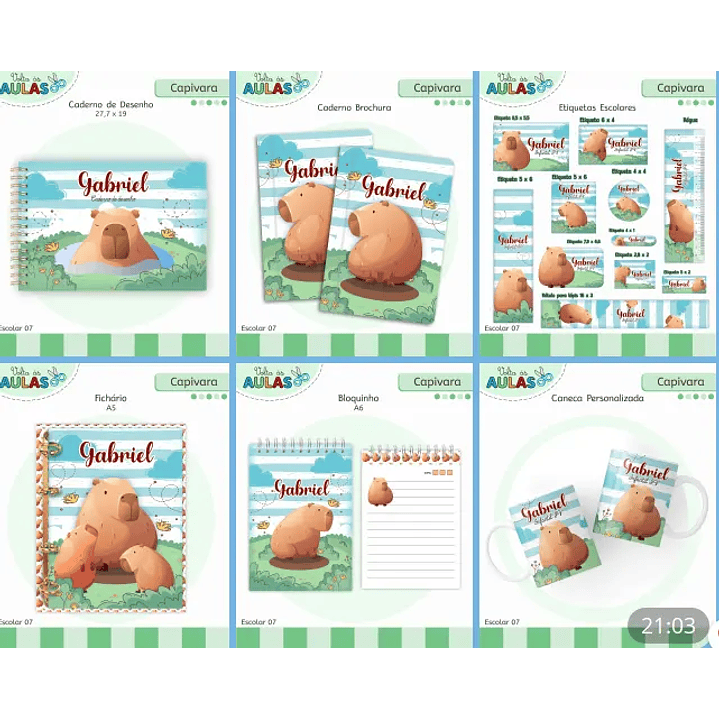Arquivo Digital Kit Escolar Capivara 1