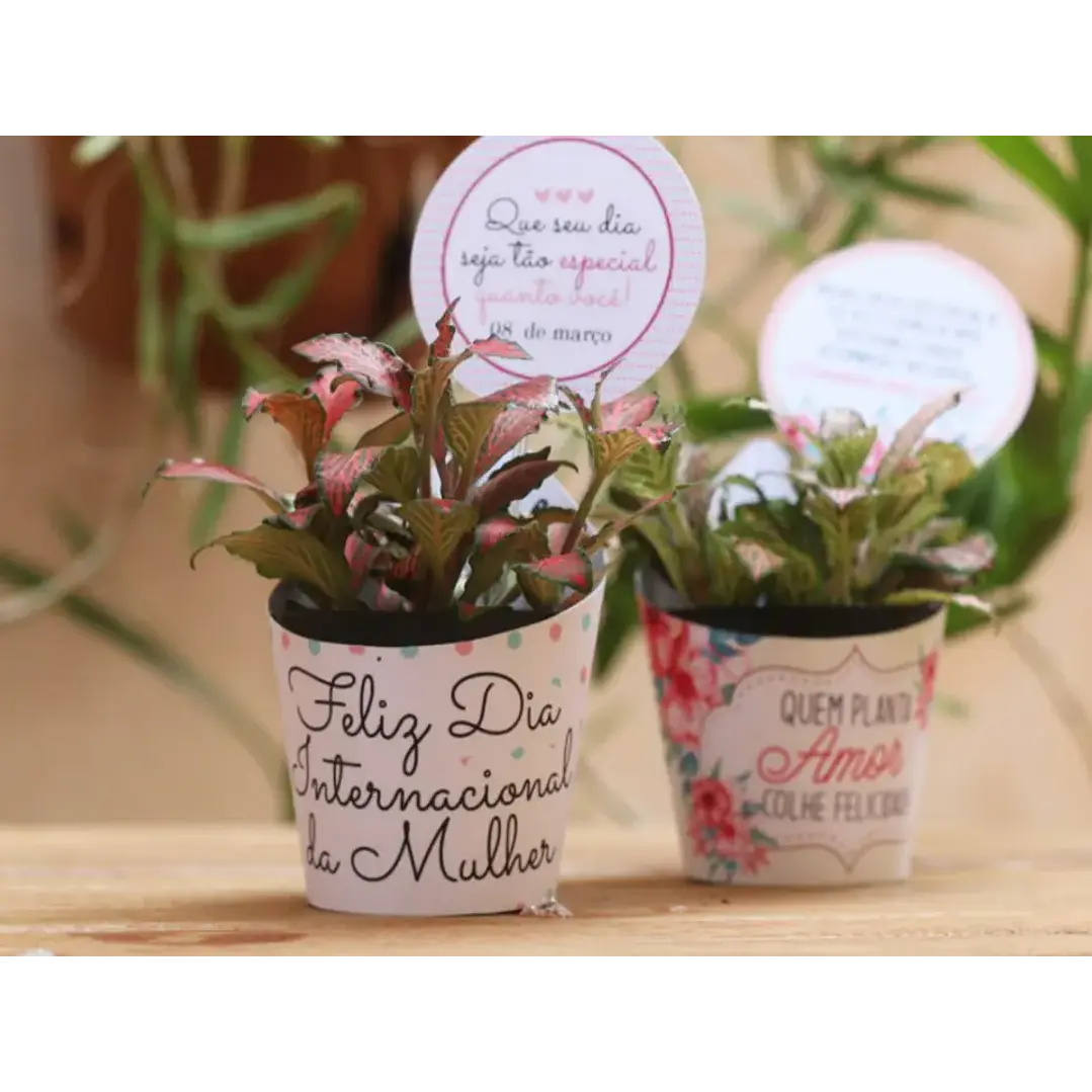 Arquivo de Corte Porta Suculenta Dia das Mães (Leia a Descrição) 1