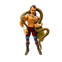 WWE Jake Roberts