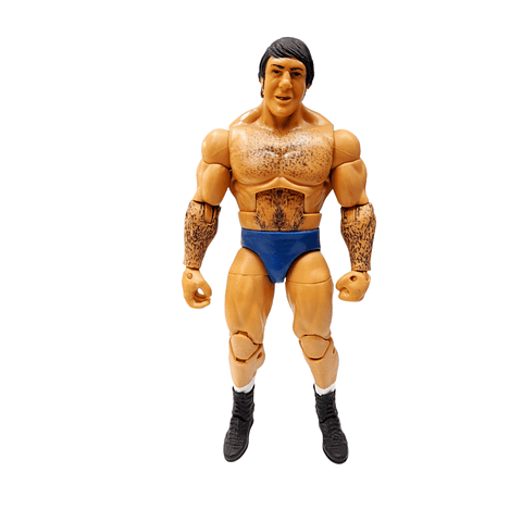 WWE Bruno Sammartino